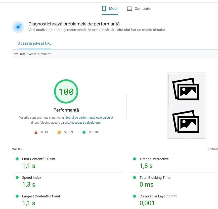 testare website cu page speed